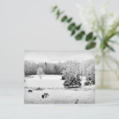 Fresh Fallen Snow at the Horse Ranch Briefkaart (Staand voorkant)