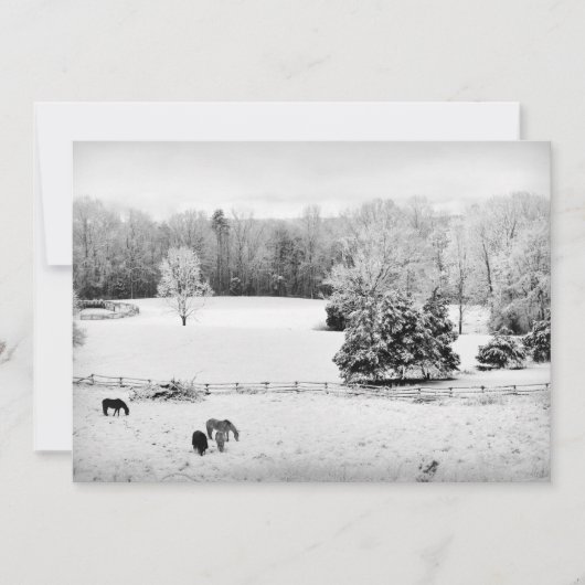 Fresh Fallen Snow at the Horse Ranch Feestdagenkaart (Voorkant)