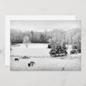 Fresh Fallen Snow at the Horse Ranch Feestdagenkaart (Voorkant / Achterkant)