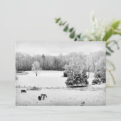 Fresh Fallen Snow at the Horse Ranch Feestdagenkaart (Staand voorkant)