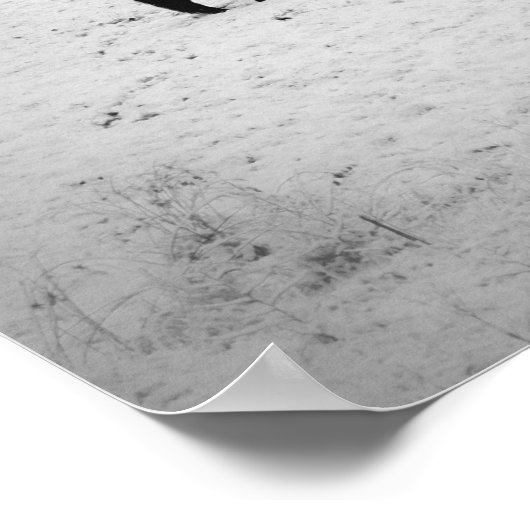 Fresh Fallen Snow at the Horse Ranch Poster (Hoek)