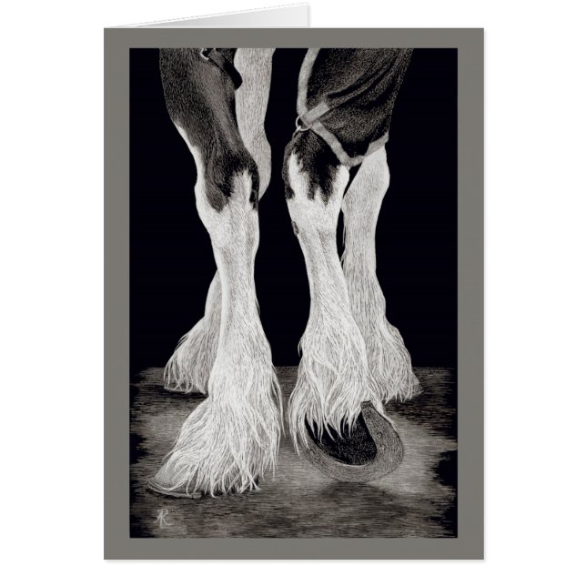"Fresh Feathers" — Shire Draft Horse (Voorkant)