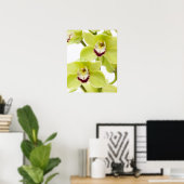 Fresh Green Orchid - Isolated on white Poster (Thuiskantoor)