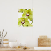 Fresh Green Orchid - Isolated on white Poster (Keuken)