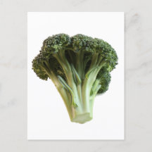 Fresh Jade Green Broccoli Floweret Closeup Photo