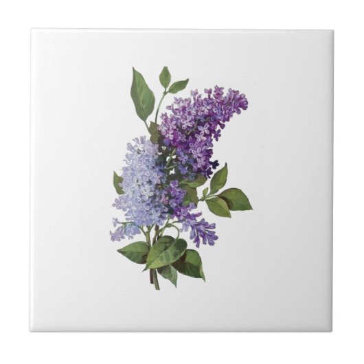 Fresh Lilacs - French Country Home Decor Tegeltje (Voorkant)