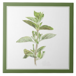 FRESH OREGANO 6x6 Keramische Tegel (-tekst) Groen Tegeltje