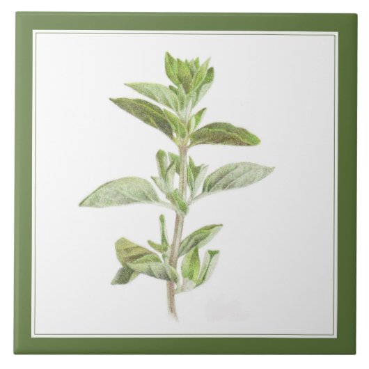 FRESH OREGANO 6x6 Keramische Tegel (-tekst) Groen Tegeltje (Voorkant)
