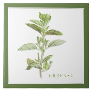 FRESH OREGANO 6x6 Keramische Tegel (+tekst) Groen Tegeltje
