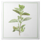 FRESH OREGANO 6x6 Keramische Tegel (-tekst) Tegeltje (Voorkant)