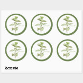 FRESH OREGANO Grote ronde Stickers (+tekst) Groen (Vel)