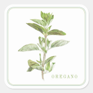 FRESH OREGANO Grote Vierkante Stickers