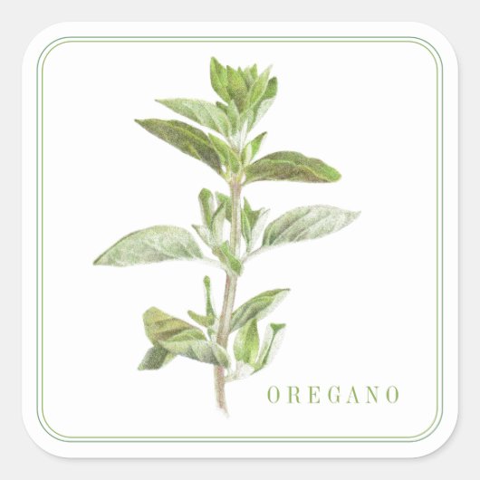 FRESH OREGANO Grote Vierkante Stickers (Voorkant)