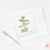 FRESH OREGANO Grote Vierkante Stickers (Envelop)