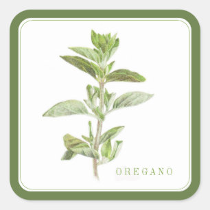 FRESH OREGANO Grote Vierkante Stickers (+tekst) Gr