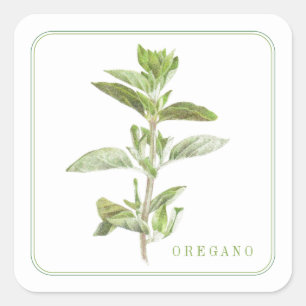 FRESH OREGANO Kleine Vierkante Stickers