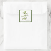 FRESH OREGANO Kleine Vierkante Stickers (+tekst) G (Tas)