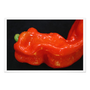 Fresh Red Bell Pepper Foto Afdruk