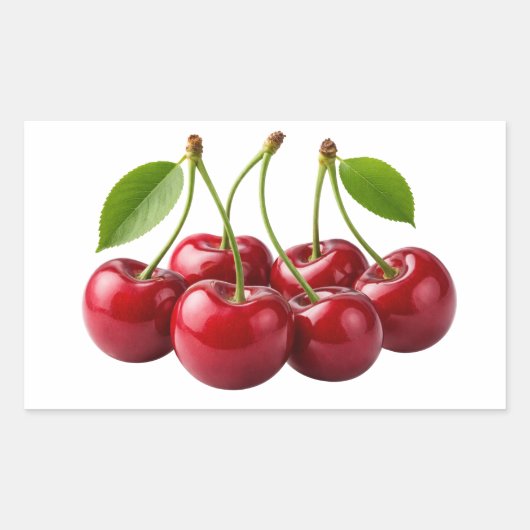 Fresh Red Cherries With Green Leaves Sticker (Voorkant)