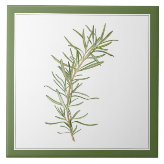 FRESH ROSEMARY 6x6 Keramische Tegel (-tekst) Groen Tegeltje (Voorkant)