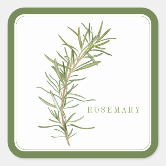 FRESH ROSEMARY Grote Vierkante Stickers - Groen (Voorkant)