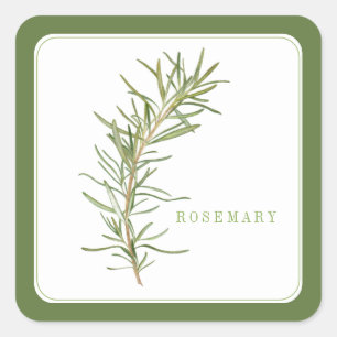 FRESH ROSEMARY Kleine Vierkante Stickers - Groen