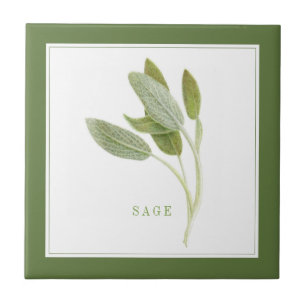 FRESH SAGE 4.25x4.25 Keramische Tegel (+tekst) Gro Tegeltje