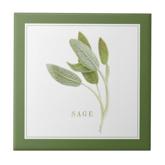 FRESH SAGE 4.25x4.25 Keramische Tegel (+tekst) Gro Tegeltje (Voorkant)
