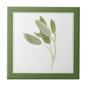 FRESH SAGE 4.25x4.25 Keramische Tegel (-tekst) Gro Tegeltje
