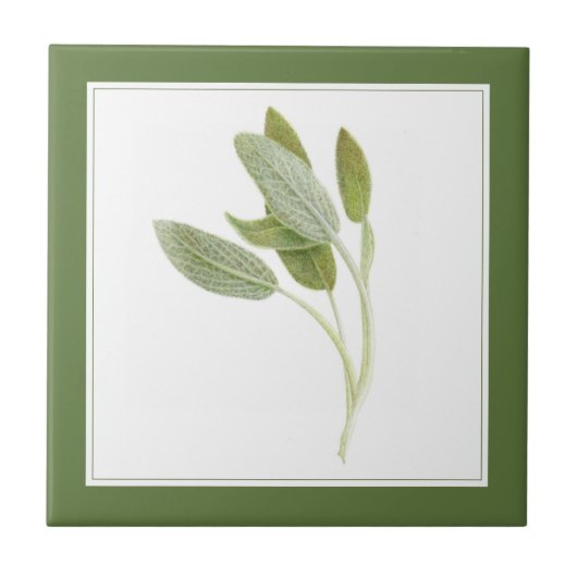 FRESH SAGE 4.25x4.25 Keramische Tegel (-tekst) Gro Tegeltje (Voorkant)