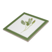 FRESH SAGE 4.25x4.25 Keramische Tegel (-tekst) Gro Tegeltje (Zijkant)