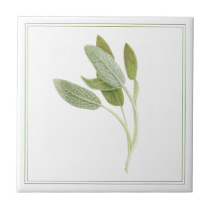 FRESH SAGE 4.25x4.25 Keramische Tegel (-tekst) Tegeltje