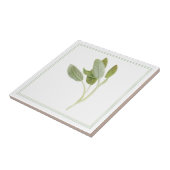 FRESH SAGE 4.25x4.25 Keramische Tegel (-tekst) Tegeltje (Zijkant)