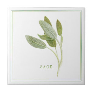 FRESH SAGE 4.25x4.25 Keramische Tegel (+tekst) Tegeltje