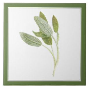 FRESH SAGE 6 "x6" Keramische Tegel (-tekst) Groen Tegeltje
