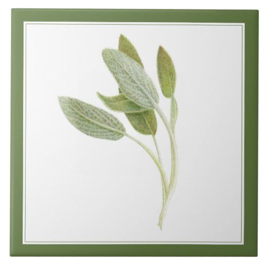 FRESH SAGE 6 "x6" Keramische Tegel (-tekst) Groen Tegeltje (Voorkant)