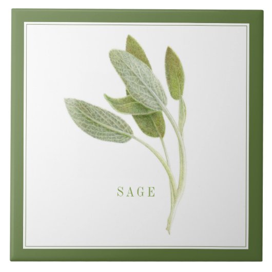 FRESH SAGE 6 "x6" keramische Tegel (+tekst) groen Tegeltje (Voorkant)
