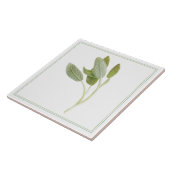 FRESH SAGE 6"x6" keramische Tegel (-tekst) Tegeltje (Zijkant)