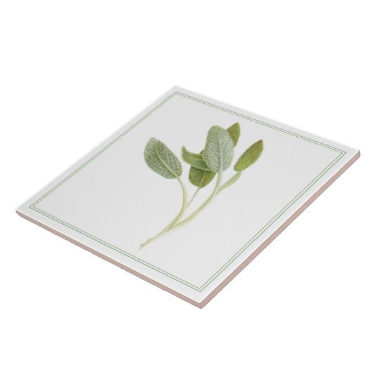 FRESH SAGE 6"x6" keramische Tegel (-tekst) Tegeltje (Zijkant)