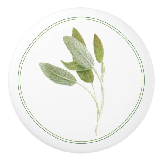 FRESH SAGE Ceramic Knoop Keramische Knop (Voorkant)