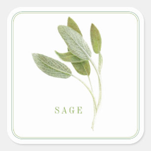 FRESH SAGE Grote Vierkante Stickers