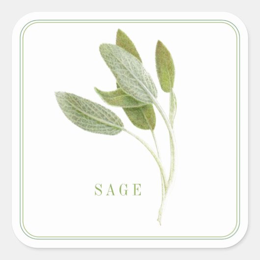 FRESH SAGE Grote Vierkante Stickers (Voorkant)
