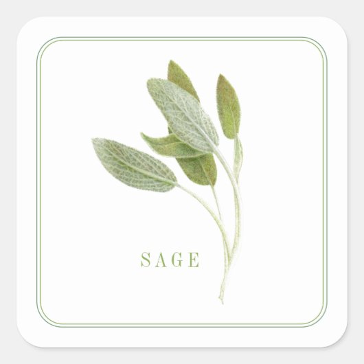 FRESH SAGE Kleine Vierkante Stickers (Voorkant)