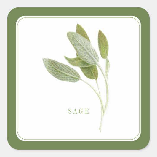 FRESH SAGE Kleine Vierkante Stickers - Groen (Voorkant)