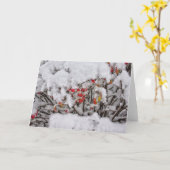 Fresh Snow Note Kaart (Gele Bloem)