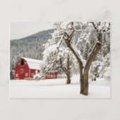 Fresh snow on red barn briefkaart (Voorkant)