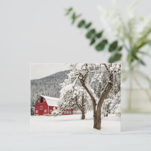 Fresh snow on red barn briefkaart (Staand voorkant)