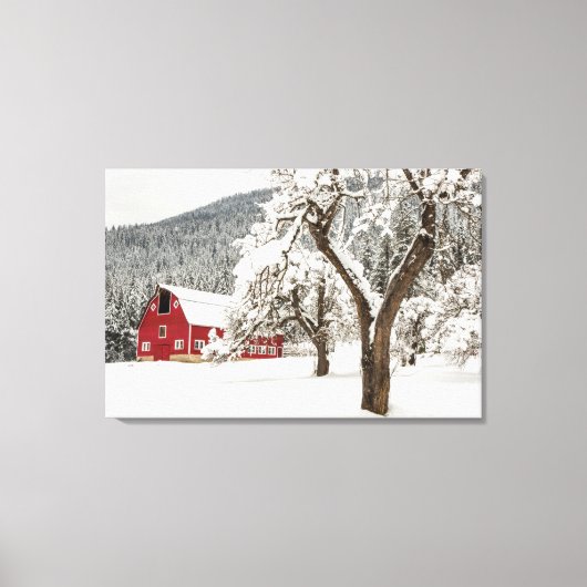 Fresh snow on red barn canvas afdruk (Voorkant)