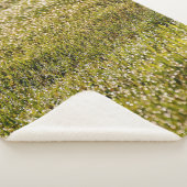 Fresh spring green grass background, with bokeh ef sherpa deken (3/4)