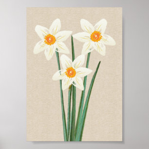 Fresh Spring narcissen Waterverf Poster